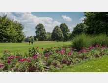 Grüne Parklandschaft mit einer Wiese, die von Blumenbeeten mit pinken Blüten und großen, dicht belaubten Bäumen umgeben ist; im Hintergrund gehen zwei Personen über die Wiese, weitere Bäume und einige Parkbänke sind zu sehen.