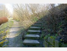 Ein kleiner Naturpfad mit unbefestigtem Boden verläuft neben einer steilen Böschung, an der mehrere Betonstufen hinaufführen. Die Umgebung ist von kahlen Büschen und leichtem Pflanzenbewuchs geprägt, während im Hintergrund größere Bäume zu sehen sind.