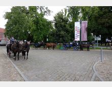 Pferdekutschen mit dunkelbraunen Pferden stehen auf einem gepflasterten Platz vor einer Reihe großer Bäume. Daneben befinden sich Schilder mit Fahnen verschiedener Länder und dem Schriftzug „Musikakademie Rheinsberg“.