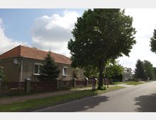 Wohnstraße mit einem eingeschossigen Haus mit Satteldach und grauer Fassade. Im Vordergrund stehen ein großer Baum und ein Holzzaun, im Hintergrund weitere Häuser, teils von Bäumen umgeben.