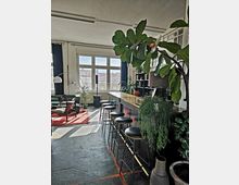 Ein heller Raum mit einem großen Fenster, das Tageslicht auf eine Sitzgruppe mit grünem Sofa und rotem Teppich wirft. Im Vordergrund steht eine lange Theke mit Barhockern und mehreren großen Zimmerpflanzen.