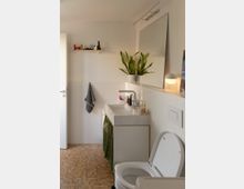 Helles, modernes Badezimmer mit weiß gefliesten Wänden, kleinem Mosaikboden und Waschtisch mit großem Spiegel. Neben dem Waschbecken stehen Pflanzen und Pflegeprodukte; im Vordergrund ist eine Toilette zu sehen, dazu ein Wandregal und ein Handtuchhaken.