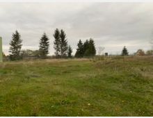 Offene Grünfläche mit ungemähtem Gras und vereinzeltem Gestrüpp, umgeben von einigen Nadelbäumen und einem Zaun im Hintergrund. Der Himmel ist bewölkt, und links im Bild ist ein Teil eines Gebäudes sichtbar.
