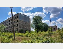 Verlassene Plattenbauten inmitten von überwuchertem Gelände, umgeben von Bäumen und Sträuchern, unter einem blauen Himmel mit vereinzelten weißen Wolken. Im Vordergrund stehen alte, verrostete Straßenlaternen.