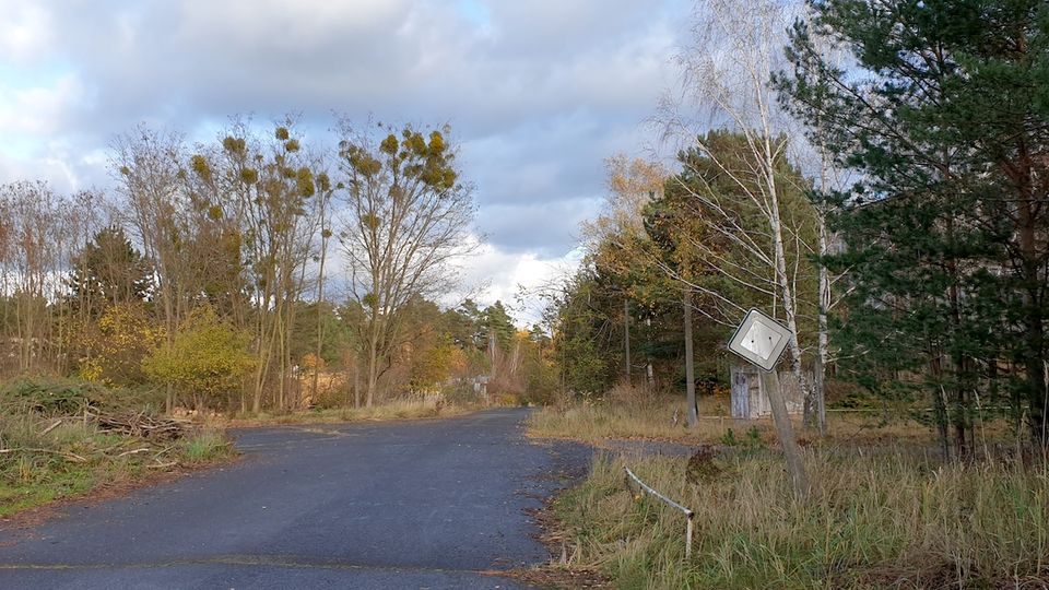 Eine verlassene asphaltierte Straße, umgeben von spärlich bewachsenen Grasflächen, Bäumen und Sträuchern, mit einem verbogenen Straßenschild am rechten Rand. Im Hintergrund sind dichte Bäume und ein bewölkter Himmel sichtbar.
