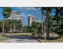 Zwei Hochhäuser im Hintergrund, umgeben von einem Kiefernwald, mit einer asphaltierten, gebogenen Straße im Vordergrund. Der Himmel ist blau mit vereinzelten Wolken, und eine Straßenlaterne steht am Wegesrand.