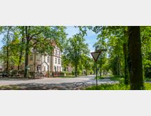 Straßenkreuzung in einem grünen Wohngebiet mit üppigen Bäumen, einem historischen Fachwerkhaus mit roten Dachziegeln auf der linken Seite und Straßenschildern, darunter ein "Vorfahrt gewähren"-Schild. Der Gehweg ist von Gras und Bäumen umsäumt, und bei klarem Himmel ist die Umgebung hell beleuchtet.