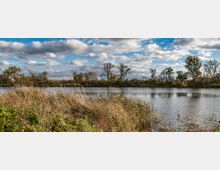 Flusslandschaft mit Schilf und Gebüsch im Vordergrund, einem ruhigen Gewässer in der Mitte und einer Baumreihe am anderen Ufer unter einem teils bewölkten Himmel.