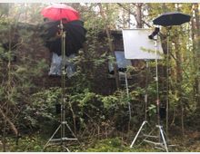 Eine verwilderte Umgebung mit einem alten Backsteingebäude im Hintergrund, teilweise von Pflanzen überwuchert. Vor dem Gebäude sind Filmleuchten auf Stativen mit Lichtdiffusoren und Reflexschirmen sowie eine Leiter sichtbar.