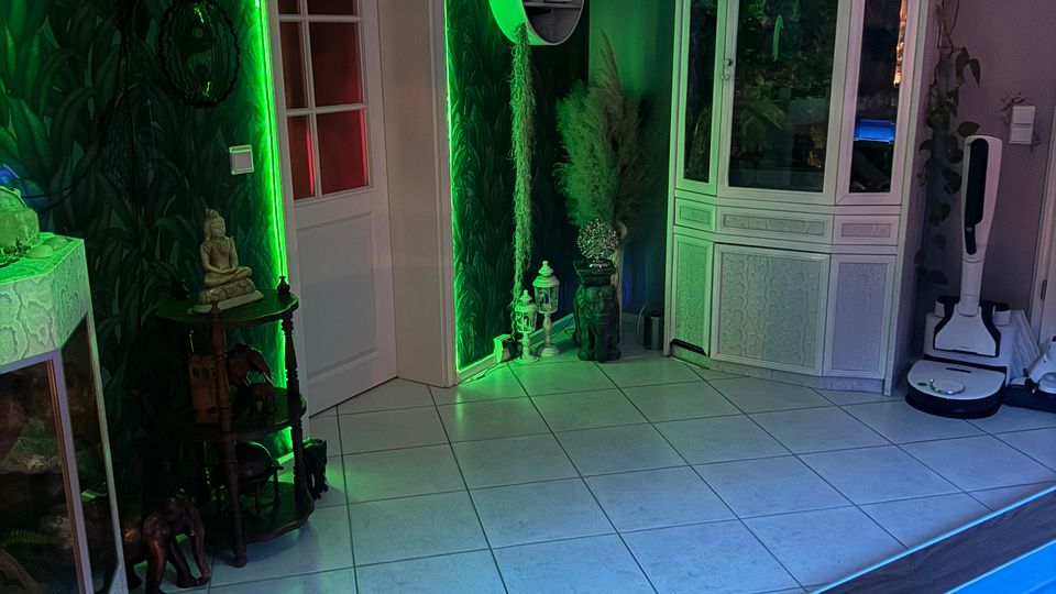 Innenraum eines Wohnzimmers mit dunkel gemusterter Wandtapete, einer Tür mit grünem LED-Lichtrahmen und hell gefliestem Boden. Rechts stehen eine weiße Glasvitrine mit Pflanzen und ein Reinigungsgerät, im Vordergrund ist eine Ecke eines Billardtisches zu sehen.