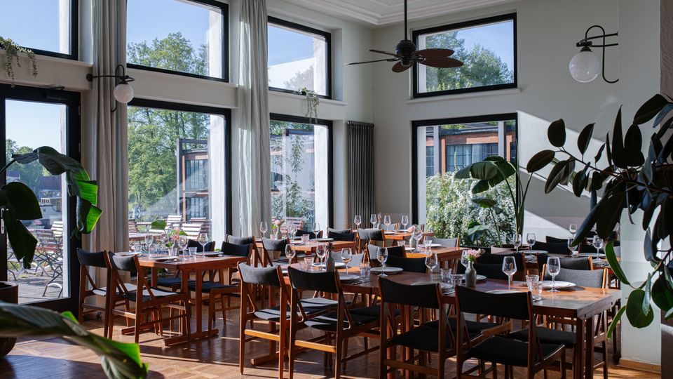 Helles Restaurant mit großen bodentiefen Fenstern, durch die viel Tageslicht einfällt. Der Raum ist mit Holzböden, schlichten Holztischen und dunkel gepolsterten Stühlen eingerichtet; Pflanzen ergänzen das gemütliche Ambiente.
