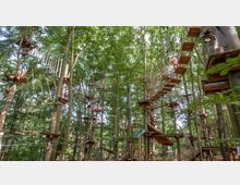 Ein Kletterwald in einem dichten Wald mit hohen Bäumen, ausgestattet mit Holzplattformen, schmalen Hängebrücken, Seilen und verschiedenen Hindernissen in unterschiedlichen Höhen. Menschen mit Sicherheitsausrüstung bewegen sich auf den Parcours.