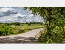 Ländliche Landschaft mit einer schmalen asphaltierten Straße, die sich durch grüne Wiesen und Büsche schlängelt. Im Hintergrund sind Bäume und vereinzelte Gebäude unter einem bewölkten Himmel zu sehen.