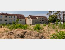 Mehrfamilienhäuser mit roten Ziegeldächern stehen im Hintergrund, davor eine verwilderte Wiese mit hohem Gras, kleinen Büschen und einem großen Haufen trockenen Heus. Rechts sind Bäume und ein parkendes Fahrzeug zu erkennen.