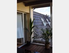 Innenraum mit einer großen Glas-Schiebetür, durch die ein Balkon mit Holzboden und ein geneigtes Dach mit Dachfenstern sichtbar sind. Im Vordergrund stehen zwei Zimmerpflanzen in Töpfen auf dem Boden.