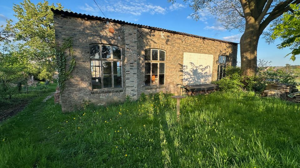 Backsteingebäude mit flachem Satteldach und großen, bogenförmigen Fensterfronten in einer ländlichen Wiese. Im Vordergrund stehen hohes Gras und ein großer Baum, daneben Holzstapel und eine Bank am Gebäude.
