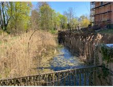 Blick auf einen schmalen, von Schilf und Wasserpflanzen bewachsenen Wassergraben zwischen Bäumen und dichter Ufervegetation. Rechts steht ein Gebäude mit Gerüst an einer gemauerten Ufermauer; im Vordergrund ist ein verwittertes Metallgeländer zu sehen.