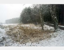 Winterliche Landschaft mit schneebedeckten Wiesen und Bäumen, an deren Stämmen Schnee haftet. Eine schmale Asphaltstraße verläuft am Waldrand entlang, der rechts im Hintergrund zu sehen ist.