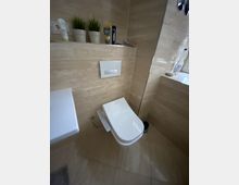 Ein modernes Badezimmer mit beiger Keramikverkleidung, einem wandmontierten weißen WC mit integriertem Bidet, einer Betätigungsplatte und einem Regal oberhalb des WC mit Zahnpasta, Pflegeprodukten und kleinen Pflanzen.