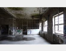 Verlassener Raum in einem einstigen Industriegebäude mit sichtbaren Ziegelwänden, beschädigten Decken, großflächigen Fensterfronten und teilweise gefliesten Wänden, die mit Graffiti bedeckt sind. Der Boden ist teilweise mit Wasserpfützen bedeckt, und Licht fällt spärlich durch die zerbrochenen Fensterscheiben.
