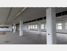 Leerer Innenraum eines Industrie- oder Bürogebäudes mit weiß gestrichenen Wänden, einigen tragenden Säulen und einer Decke mit sichtbaren Leuchtstoffröhren. An der rechten Wand befinden sich mehrere Fensterreihen, die Tageslicht hereinlassen, während der Boden aus grauem Beton besteht.