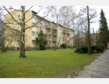 Mehrstöckiges Wohngebäude mit gelber Fassade und Balkonen, umgeben von einer Rasenfläche mit kahlen Bäumen und vereinzelten Sträuchern. Ein schmaler gepflasterter Gehweg führt entlang der rechten Seite des Bildes.