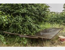 Eine überwucherte Szenerie mit dichtem Buschwerk im Hintergrund, davor eine alte, hölzerne Plattform mit verrostetem Drahtgitter und Holzgriffen. Im Gras daneben steht ein roter Plastikeimer.