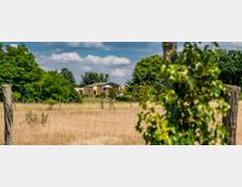 Gelbes Einfamilienhaus mit Flachdach in ländlicher Umgebung, umgeben von Bäumen, einem Garten und einem Zaun. Im Vordergrund eine Wiese mit trockenem, gelbem Gras und einem unscharfen Baumstamm.