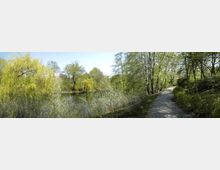 Weitläufiger Park mit einem schmalen, gepflasterten Weg, der entlang eines von Bäumen und Büschen gesäumten Teichs führt. Helle, grüne Baumkronen und blühende Sträucher dominieren die Frühlingslandschaft unter klarem, blauem Himmel.