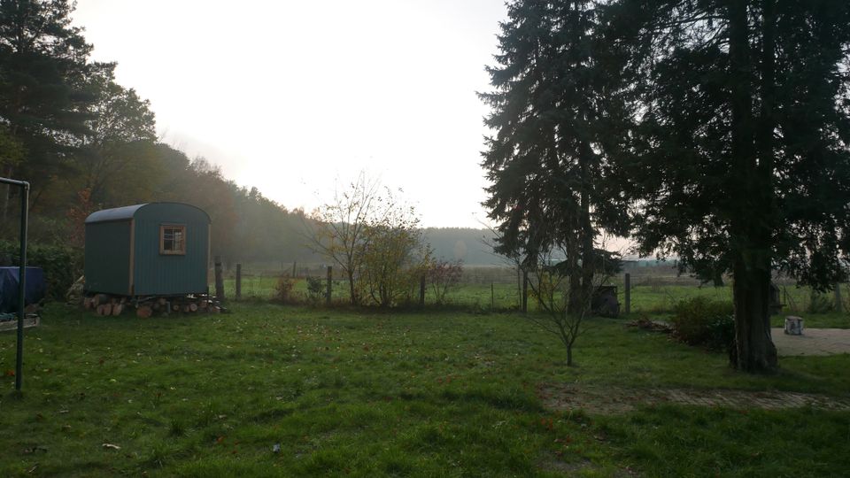 Grüne Wiese am Waldrand mit einem kleinen, dunkelgrünen Bauwagen mit Fenster links, umgeben von Sträuchern und einem Zaun. Im Hintergrund liegen offene Felder, rechts stehen hohe Nadelbäume und ein gepflasterter Bereich.