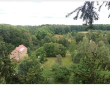Blick auf eine ländliche Landschaft mit dichtem Wald im Hintergrund, einer Wiese und einem hellen, zweigeschossigen Haus mit rotem Dach im Vordergrund. Zweige eines Nadelbaums ragen in das Bild.