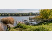 Ein See mit mehreren einfachen Holzstegen, umgeben von Schilf und dichtem Wald am gegenüberliegenden Ufer. Im Vordergrund befinden sich eine Wiese, ein kleiner Baum mit Herbstlaub und ein weißer Kunststoffstuhl.