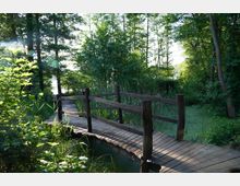 Holzsteg mit einfachen Geländern führt durch eine grüne, bewaldete Naturlandschaft mit dichtem Gebüsch, hohen Bäumen und einem sumpfigen, von Algen bedeckten Wasserbereich. Im Hintergrund scheint Sonnenlicht durch die Bäume.
