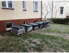 Außenbereich eines Wohngebäudes mit verputzter Fassade und rotem Klinkersockel. Vor den Kellerfenstern stehen mehrere auf Paletten gelagerte, in Folie eingewickelte Gegenstände neben einem angelehnten Fahrrad; der Boden ist mit Gras und Herbstlaub bedeckt.