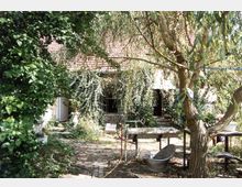 Ein idyllischer, überwucherter Garten mit einem alten Steinhaus im Hintergrund, dessen Fassade von Kletterpflanzen bedeckt ist. Im Vordergrund stehen ein Baum, ein Waschbecken auf einem Metallgestell und verschiedene Gartenutensilien auf einem gepflasterten Boden.