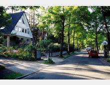 Eine ruhige Wohnstraße mit Bäumen, die die Straße säumen und Schatten spenden. Links steht ein Einfamilienhaus mit schrägem Dach, gepflegtem Garten und Metallzaun; rechts sind geparkte Autos entlang des Gehwegs.