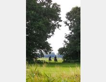 Zwei Reiter auf Pferden reiten über eine grüne Wiese, eingerahmt von hohen, dicht belaubten Bäumen. Im Hintergrund sind weitere Wiesen und Felder unter einem bewölkten Himmel zu sehen.