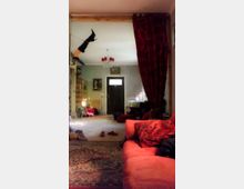 Wohnzimmer mit roten Möbeln und Ornamenten, darunter ein rotes Sofa und dunkle Vorhänge mit floralen Mustern. Im Hintergrund ist eine offene Tür zu einem weiteren Raum sichtbar, beleuchtet durch einen Kronleuchter; an der rechten Wand hängt ein dekorativer Gegenstand in Form eines schwarzen Stiefels.