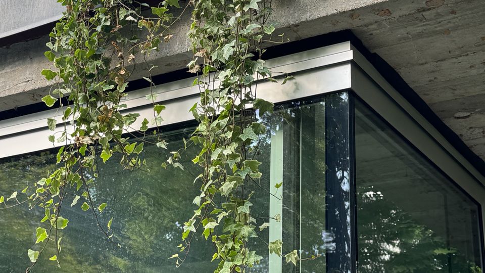 Corner of a modern concrete building with large floor-to-ceiling glass walls, viewed from below. Ivy vines spill over the flat roof edge and hang down the façade, with blue sky and tree foliage reflected in the glass.