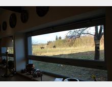 Ein breites Fenster in einem Innenraum bietet Ausblick auf eine Wiese mit Weidezaun, auf der mehrere Pferde grasen. Im Vordergrund des Fensters sind Baumäste zu sehen, und innen auf der Fensterbank stehen verschiedene dekorative Gegenstände.