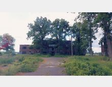 Verlassenes Backsteingebäude mit eingeschlagenen Fensterscheiben, umgeben von dichtem Bewuchs und mehreren hohen Bäumen; eine verwitterte Asphaltfläche führt darauf zu.