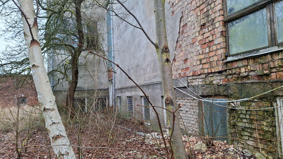 Seitenbereich eines älteren Gebäudes mit teilweise freiliegendem, bröckelndem Ziegelmauerwerk, verputzten Wandflächen und einem großen Fenster. Im Vordergrund stehen kahle Bäume und dichtes Gestrüpp auf einem verwilderten, laubbedeckten Boden.