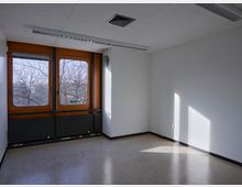 Leerer Büroraum mit weiß gestrichenen Wänden, einem beigefarbenen Linoleumboden und zwei großen Fenstern mit orangefarbenem Rahmen. Durch die Fenster sind kahle Bäume im Außenbereich sichtbar, und Licht fällt in den Raum.