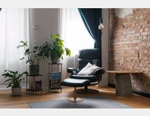 Wohnbereich mit einem schwarzen Ledersessel, passendem Hocker und Kissen, umgeben von Zimmerpflanzen auf Holzregalen. Rechts eine Backsteinwand, links weiße Vorhänge vor einem Fenster mit dunklen Vorhängen, und ein kleiner Beistelltisch mit Betonfuß ergänzt die moderne, gemütliche Einrichtung.