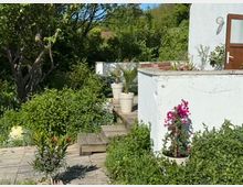 Ein grüner Garten mit dichtem Pflanzenbewuchs, Holzdielen als Gehweg und einer weißen verputzten Hauswand mit einer offenen Holztür. Verschiedene Blumentöpfe mit roten und pinken Blumen stehen auf einem Podest in der Sonne.