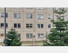 Ein graues, mehrstöckiges Wohngebäude mit einfacher Fassade und rechteckigen Fenstern. Im Vordergrund sind Rasenflächen, junge Bäume mit Stützpfählen und zwei Tannen zu sehen.