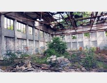 Eine verlassene Lagerhalle mit weißen Backsteinwänden, teils zerstörtem Dach und Metallträgern, durch die Bäume und Vegetation ins Innere wachsen. Der Boden ist mit Schutt und zerbrochenen Materialien bedeckt, und die Wände sind mit Graffiti bedeckt.