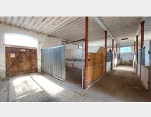 Innenraum eines Pferdestalls mit einzelnen Boxen aus Holz- und Metallgittern, weißen Wänden mit Spuren von Abnutzung und einem Holzportal mit Oberlichtfenster. Der Raum ist hell durch eintretendes Tageslicht, und die Decke besteht aus weißen Holzbalken.