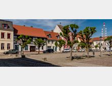 Ein gepflasterter Platz in einer historischen Altstadt mit Häusern im Fachwerk- und Putzstil, roten Ziegeldächern und teils farbigen Fassaden. Im Vordergrund stehen symmetrisch angeordnete, geschnittene Bäume, und am rechten Bildrand ist ein Maibaum zu sehen.