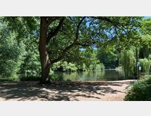 Ein Park mit einem großen Baum im Vordergrund, dessen Schatten den Boden bedeckt, und einem ruhigen Teich in der Mitte, umgeben von dichten Büschen und Bäumen, darunter eine Weide rechts. Im Hintergrund sind weitere grüne Pflanzen und Wasser sichtbar.